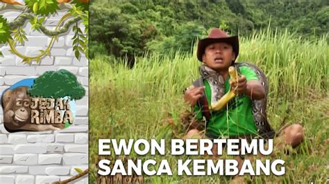 Adegan Berbahaya Ewon Bertemu Sanca Kembang Jejak Rimba Eps Youtube