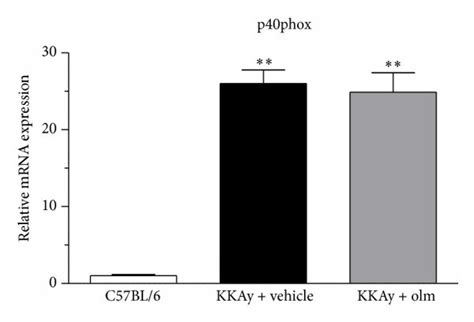 Effects Of Olmesartan Olm On The Adipose Tissue MRNA Expression Of