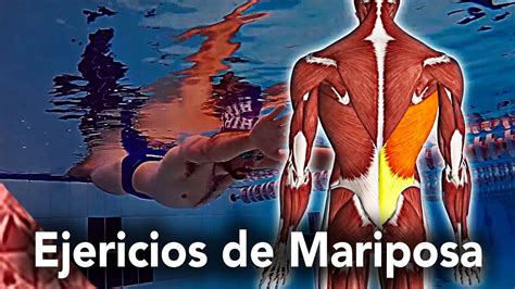 Ejercicios De Estilo Mariposa Para Mejorar La Tecnica Y Nadar Mas