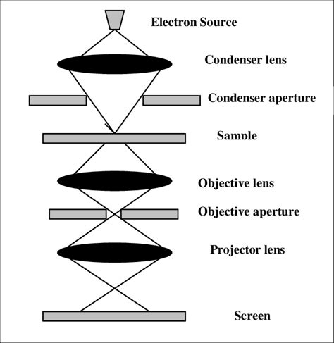 4 Transmission Electron Microscope With All Of Its Components Download Scientific Diagram