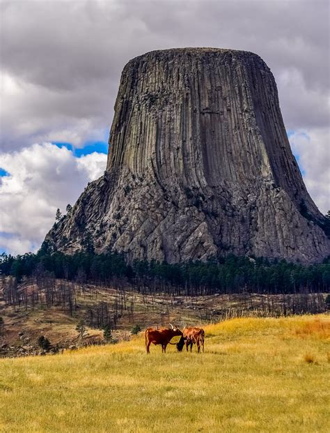 Rock Climbing Devils Tower With a Guide | 57hours