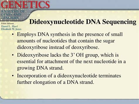 PPT - DNA Sequencing PowerPoint Presentation, free download - ID:3116356