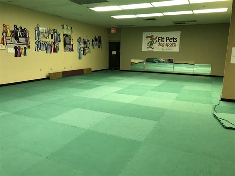 New Agility Flooring | Fit Pets