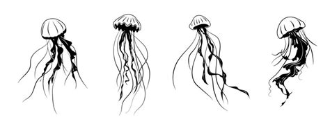 Jellyfish Black And White Vector Art, Icons, and Graphics for Free Download