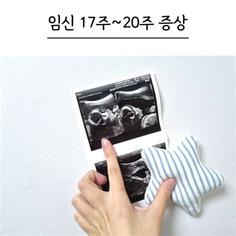 임신 17주 18주 19주 20주차 임신 5개월 증상 배크기 태동 느끼는 시기 경험담 네이버 블로그