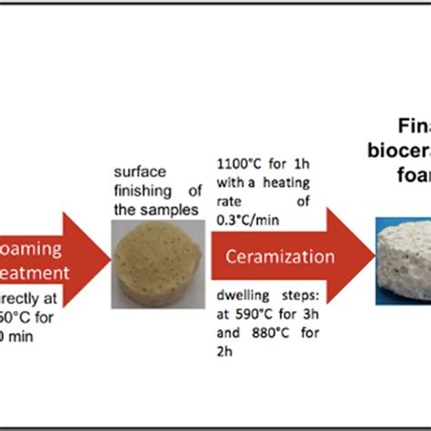 Bioceramic Preparation A Schematic Representation Of The Srmg Doped