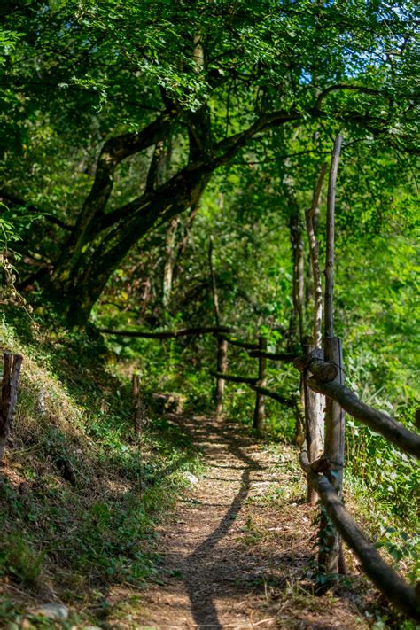 Senter Dei Br Sacc Sentieri Curiosit Informazioni Sul Monte