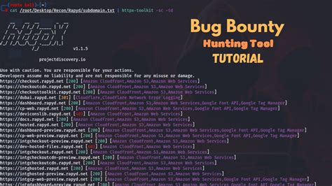 Bug Bounty Hunting Tools Install In Kali Linux For Beginners