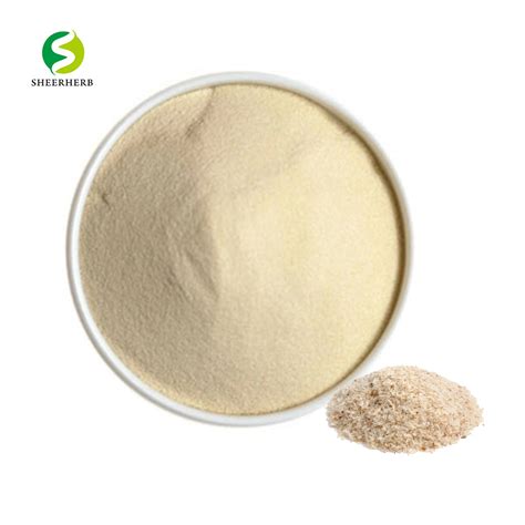 High Quality Psyllium Husk Powder Organic Psyllium Seed Husk - China ...