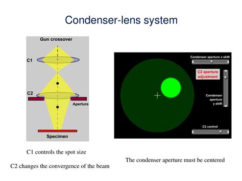 Ppt Introduction To Electron Microscopy Powerpoint Presentation Id