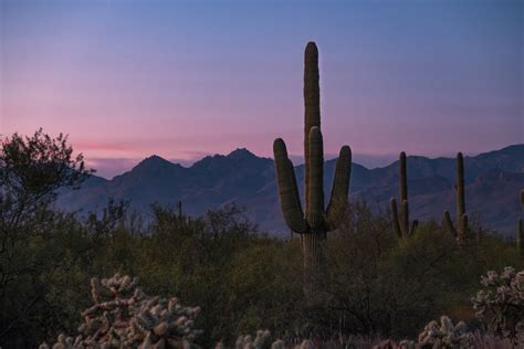 11 Best Tucson Hiking Trails