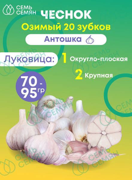 Луковицы Премиум Сидс купить по выгодной цене в интернет-магазине OZON ...