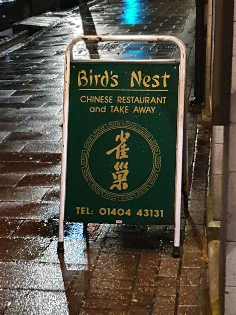 Birds And Animals In Honiton Lace