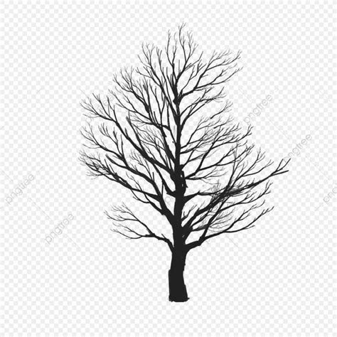 The Silhouette Of A Tree Without Leaves On A Transparent Background Hd