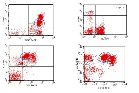 International Clinical Cytometry Society