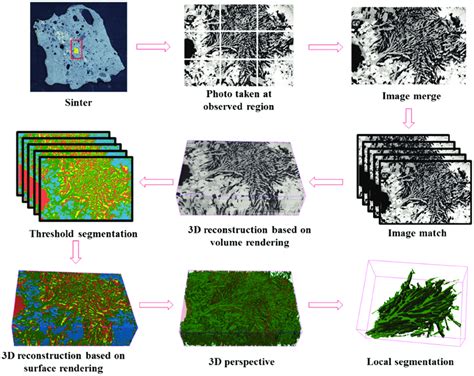 Flow Chart Of Serial Sectioning And D Reconstruction Process