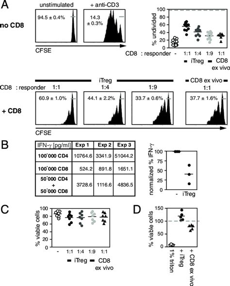 In Vitro Differentiated CD8 T Cells Suppress The Proliferation Of CD4 T