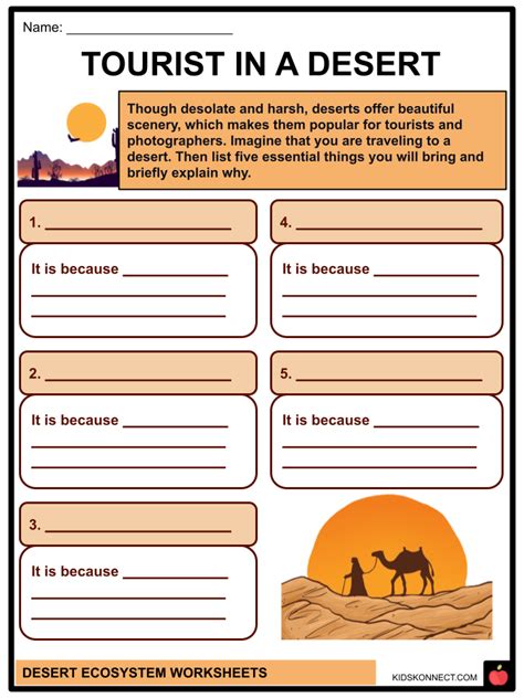 Desert Ecosystem For Kids