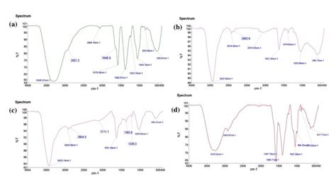 Fourier Transform Infrared Ft Ir Spectra Of A Aqueous Leaf Extract