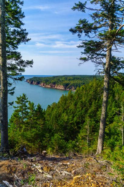 220 Fundy Trail Stock Photos Pictures And Royalty Free Images Istock