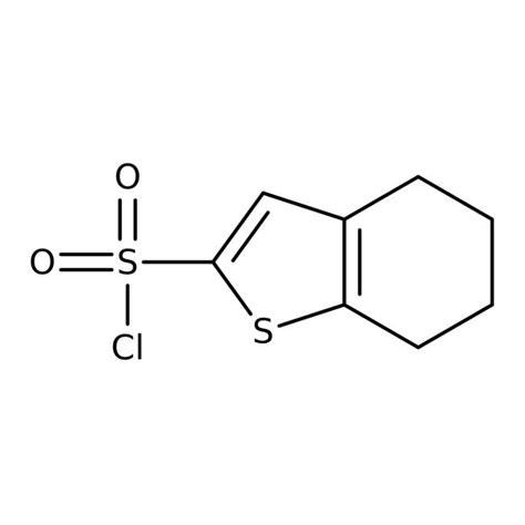 Tetrahydrobenzo B Thiophene Sulfonyl Chloride Alfa