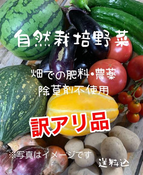 ♣︎訳アリ品♣︎自然栽培野菜 畑での肥料・農薬・除草剤不使用6kg以上 By メルカリ