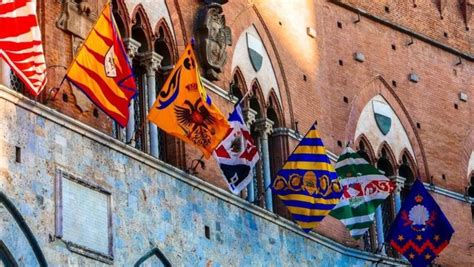 Palio Di Siena Agosto Cavalli Assegnati Alle Contrade Gazzetta It