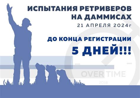 Многоуровневая система состязаний ретриверов - Охота и натаска ...