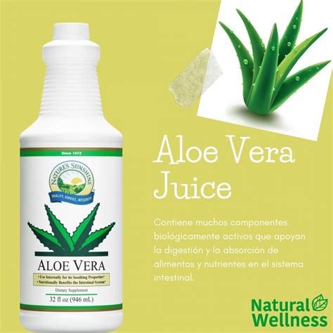 Conoce Las Propiedades Del Jugo De Aloe Vera Y Cuida Tu Salud Natural Wellness