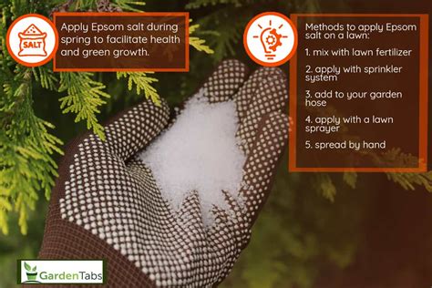 When To Apply Epsom Salt To Lawn [And How To]