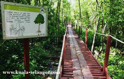 Kuala Selangor Nature Park / Taman Alam Kuala Selangor