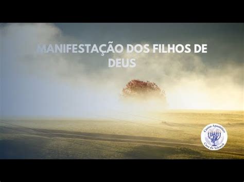 MANIFESTAÇÃO DOS FILHOS DE DEUS YouTube