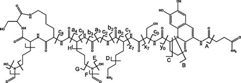 Chemical Structure Of Pyoverdine Succinamide With Illustration Of