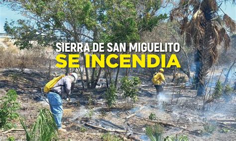 Incendios forestales afectan más de 1 mil 300 hectáreas en SLP