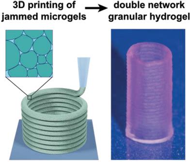 D Printing Of Strong And Tough Double Network Granular Hydrogels