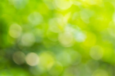 Premium Photo Natural Green Blurred Background