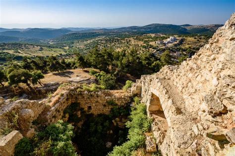 Från Amman Privat rundtur i Jerash Ajlouns slott och Umm Qais