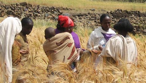 Tabúes alimentarios que causan desnutrición en mujeres embarazadas