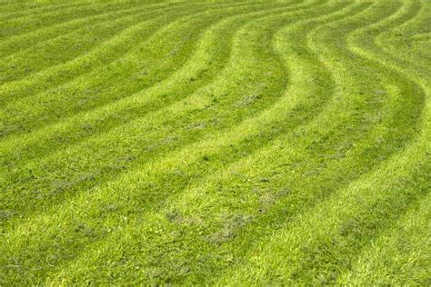 7 Common Lawn Mowing Patterns and When to Use Them