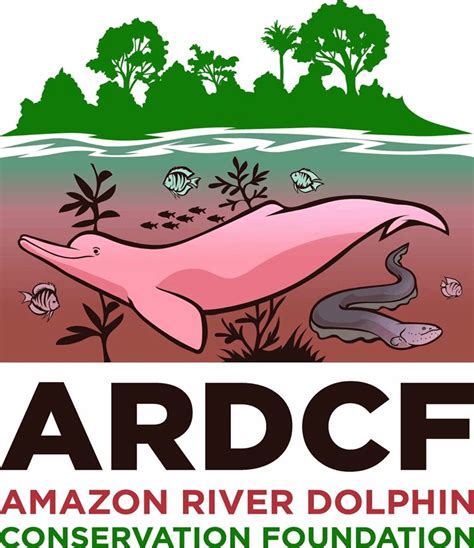 Amazon River Dolphin Conservation | GoGetFunding