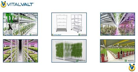 vertical growing farming systems artofit