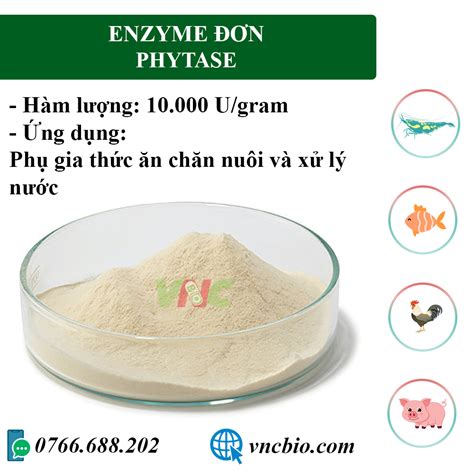 ENZYME PHYTASE NGUYÊN LIỆU DÒNG ĐƠN Việt Nhật Biotech