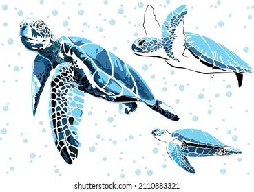 Graphic Sea Turtlevector Illustration Sea Turtlevector Stock Vector