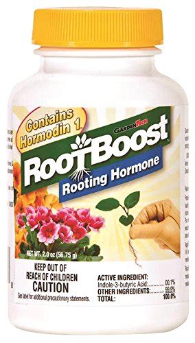 5 Best Rooting Hormone to Use for Propagation in 2024