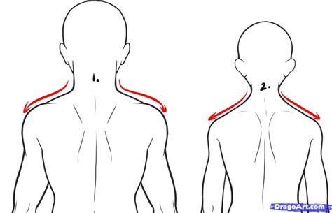 How To Draw A Back Step By Step Anatomy People FREE Online Drawing