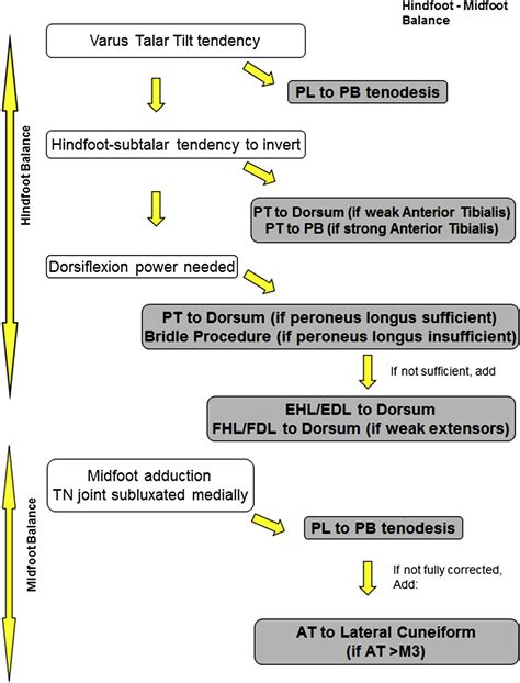 Tendon Transfers in Cavovarus Foot - Foot and Ankle Clinics