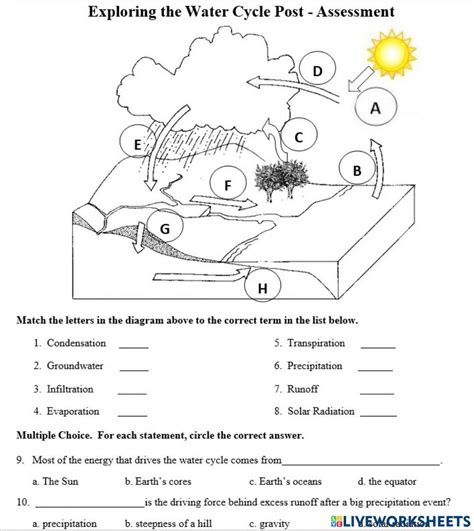 water cycle  interactive worksheets