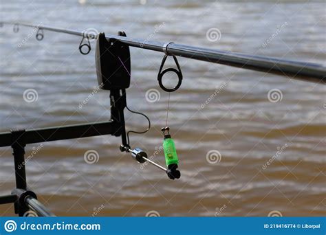 Detailed Swinger Stock Photos Free Royalty Free Stock Photos From