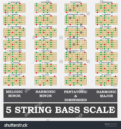 5 String Bass Scale Minor Bass Stock Vector 103675838 Shutterstock