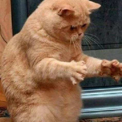 Jason Cody Nude Porn Videos 2026 XHamster